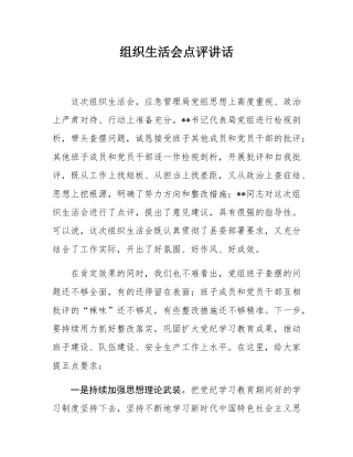 组织SH会点评讲话.docx