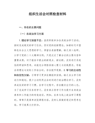 组织SH会对照检查材料.docx