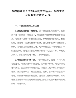 组织部副部长2024年民主SH会、组织SH会自我批评意见25条.docx