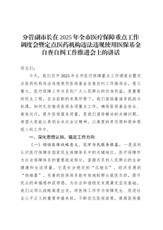 分管副市长在2025年全市医疗保障重点工作调度会暨定点医药机构违法违规使用医保基金自查自纠工作推进会上的讲话.docx