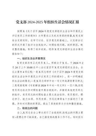 党支部 2024-2025 年组织生活会情况汇报.docx