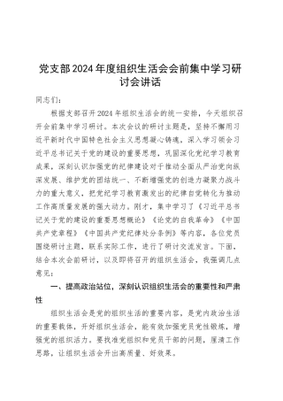 党支部2024年度组织生活会会前集中学习研讨会讲话20250312.docx