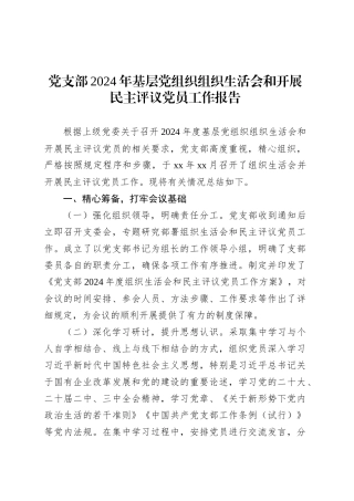党支部2024年基层党组织组织生活会和开展民主评议党员工作报告20250331.docx