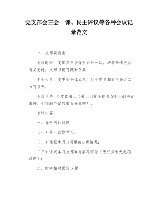 党支部会三会一课、民主评议等各种会议记录范文.docx