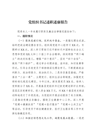 党组织书记述职述廉报告.docx