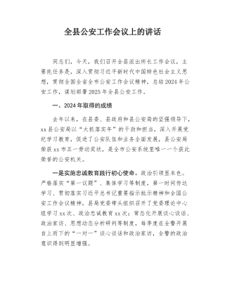 公安工作会议发言.docx