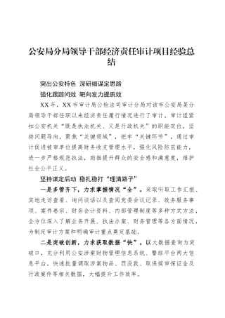 公安局分局领导干部经济责任审计项目经验总结.docx