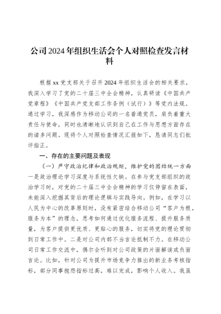 公司2024年组织生活会个人对照检查发言材料.docx