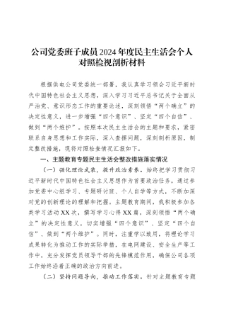 公司党委班子成员2024年度民主生活会个人对照检视剖析材料.docx