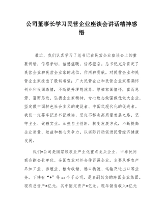 公司董事长学习民营企业座谈会讲话精神感悟.docx