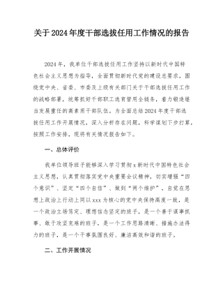 关于2024年度干部选拔任用工作情况的报告.docx