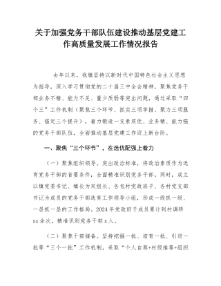 关于加强党务干部队伍建设推动基层党建工作高质量发展工作情况报告.docx