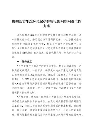 贯彻落实生态环境保护督察反馈问题问责工作方案.docx