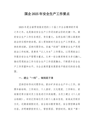 国企2025年安全生产工作要点.docx
