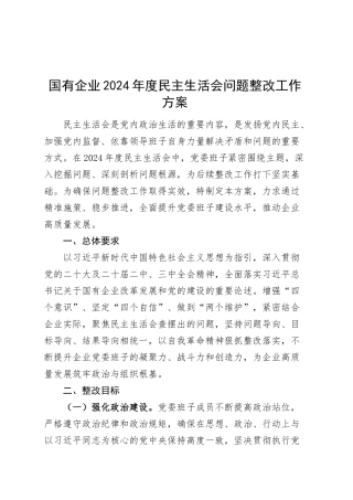 国有企业2024年度民主生活会问题整改工作方案20250312.docx