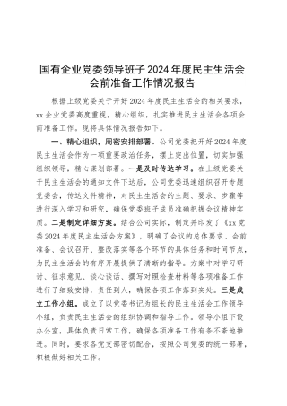 国有企业党委领导班子2024年度民主生活会会前准备工作情况报告（公司汇报总结）20250305.docx