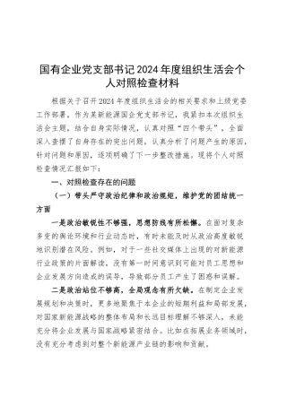 国有企业党支部书记2024年度组织生活会个人对照检查材料（四个带头，纪律规矩团结统一、党性纪律作风、清正廉洁、从严治党，检视剖析，发言提纲公司） (2)20250312.docx