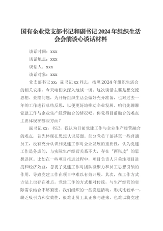 国有企业党支部书记和副书记2024年组织生活会会前谈心谈话材料.docx
