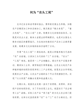 何为“农头工尾”.docx