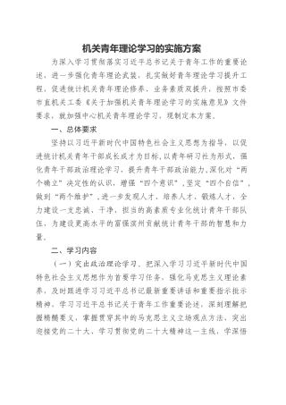 机关青年理论学习的实施方案.docx