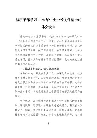 基层干部学习2025年中央一号文件精神的体会发言.docx