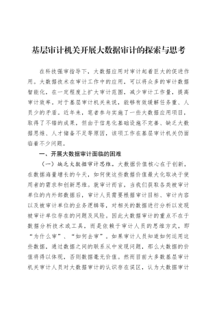 基层审计机关开展大数据审计的探索与思考.docx