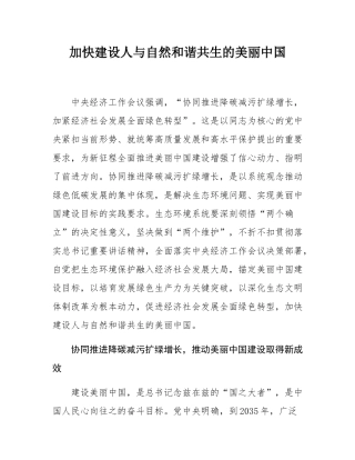 加快建设人与自然和谐共生的美丽中国.docx