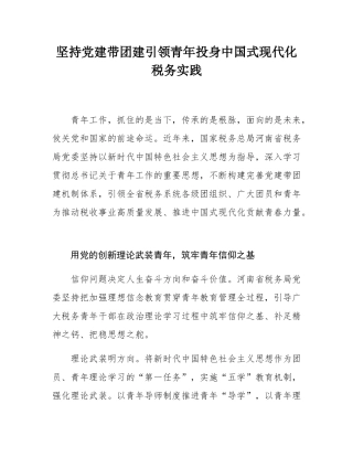坚持党建带团建引领青年投身中国式现代化税务实践.docx
