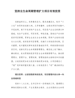 坚持全生命周期管理扩大项目有效投资.docx