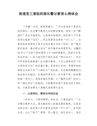 街道组织部长警示教育心得体会.doc