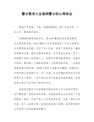 警示教育大会案例警示的心得体会.docx