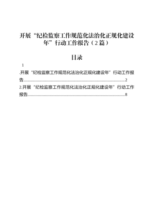 开展“纪检监察工作规范化法治化正规化建设年”行动工作报告（2篇）.docx