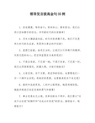 领导发言拔高金句35例.docx
