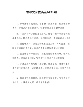 领导发言拔高金句35组.docx