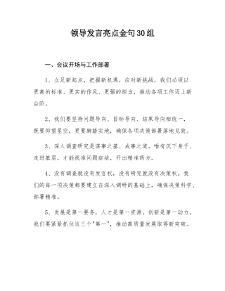 领导发言亮点金句30组.docx