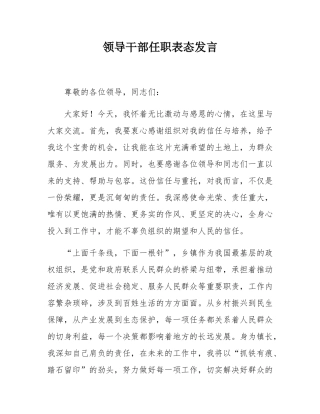 领导干部任职表态发言.docx