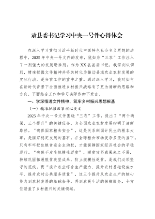 录县委书记学习中央一号件心得体会.docx
