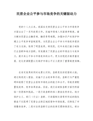 民营企业公平参与市场竞争的关键驱动力.docx