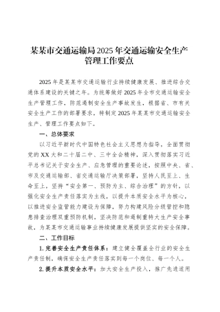某某市交通运输局2025年交通运输安全生产管理工作要点.docx