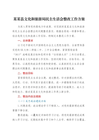 某某县文化和旅游局民主生活会整改工作方案.docx