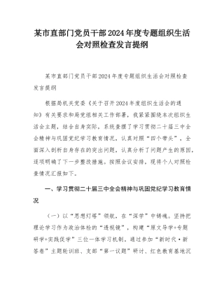 某市直部门党员干部2024年度专题组织SH会对照检查发言提纲.docx