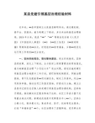 某县党建引领基层治理经验材料.docx