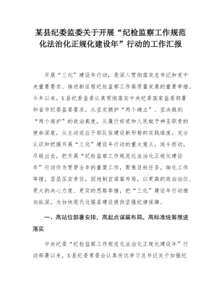 某县纪委监委关于开展“纪检监察工作规范化法治化正规化建设年”行动的工作汇报.docx