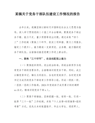 某镇关于党务干部队伍建设工作情况的报告.docx