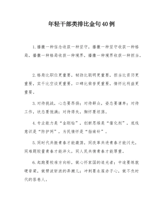 年轻干部类排比金句40例.docx
