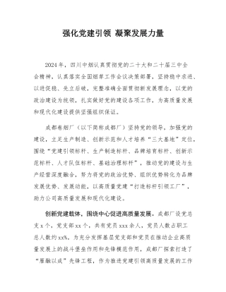 强化党建引领 凝聚发展力量.docx