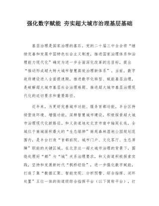 强化数字赋能 夯实超大城市治理基层基础.docx