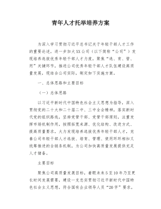 青年人才托举培养方案.docx