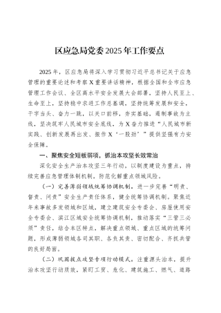 区应急局党委2025年工作要点.docx