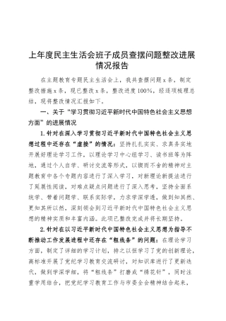 上年度民主生活会班子成员查摆问题整改进展情况报告工作汇报总结20250305.docx